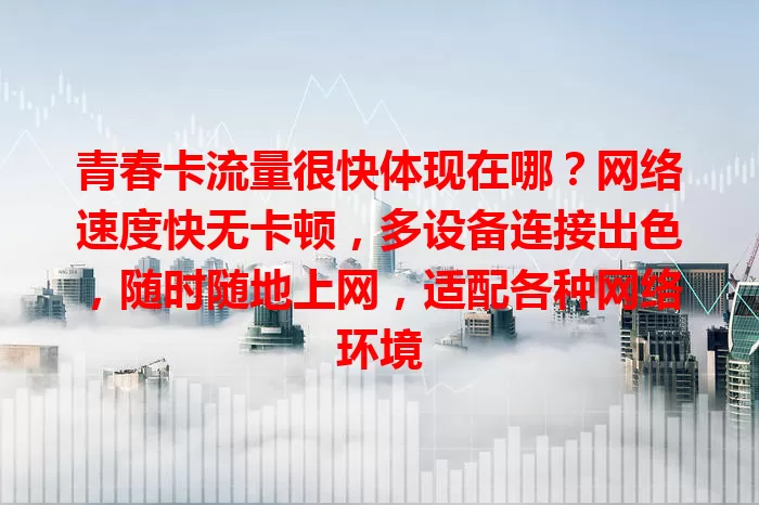 青春卡流量很快体现在哪？网络速度快无卡顿，多设备连接出色，随时随地上网，适配各种网络环境