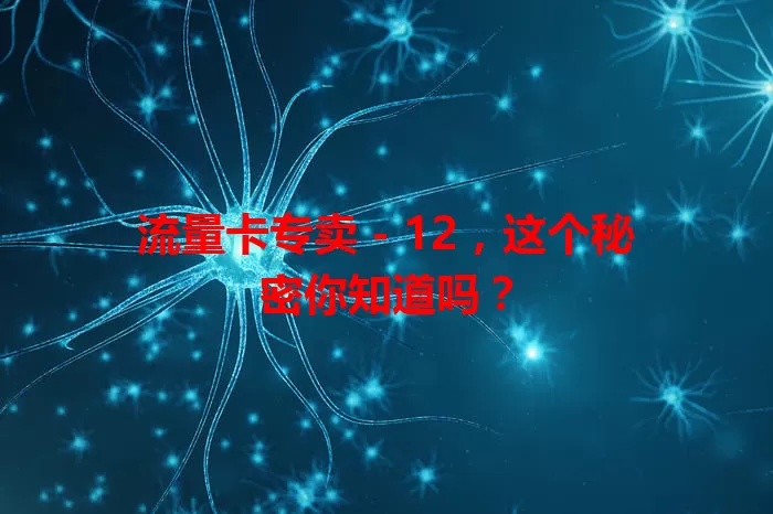 流量卡专卖 – 12，这个秘密你知道吗？