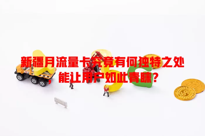 新疆月流量卡究竟有何独特之处，能让用户如此青睐？