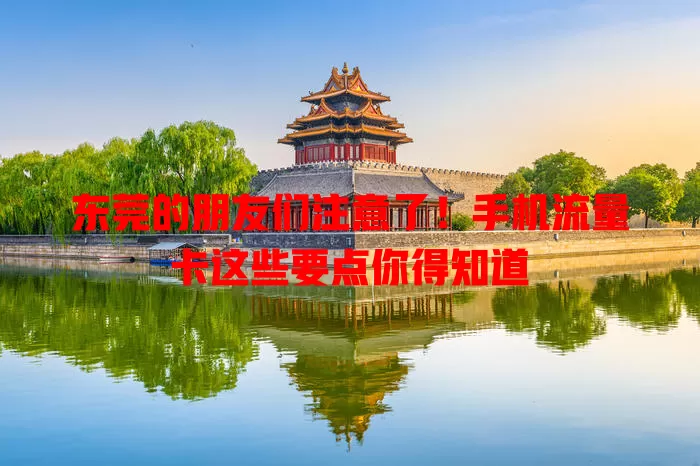 东莞的朋友们注意了！手机流量卡这些要点你得知道