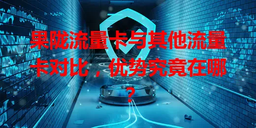 果陇流量卡与其他流量卡对比，优势究竟在哪？