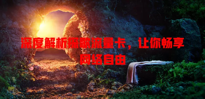 深度解析探歌流量卡，让你畅享网络自由