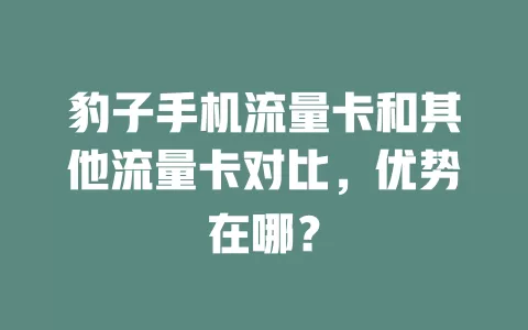 豹子手机流量卡和其他流量卡对比，优势在哪？