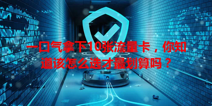 一口气拿下10张流量卡，你知道该怎么选才最划算吗？