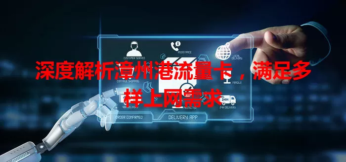 深度解析漳州港流量卡，满足多样上网需求