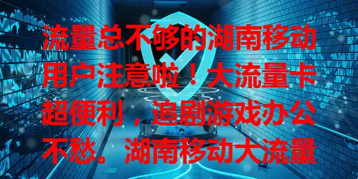 流量总不够的湖南移动用户注意啦！大流量卡超便利，追剧游戏办公不愁。湖南移动大流量卡优势足，额度足、网络稳、费用合理，助你告别流量焦虑，畅享精彩网络生活！