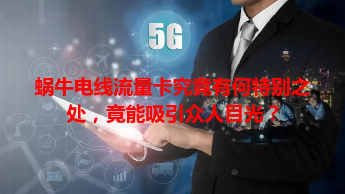 蜗牛电线流量卡究竟有何特别之处，竟能吸引众人目光？