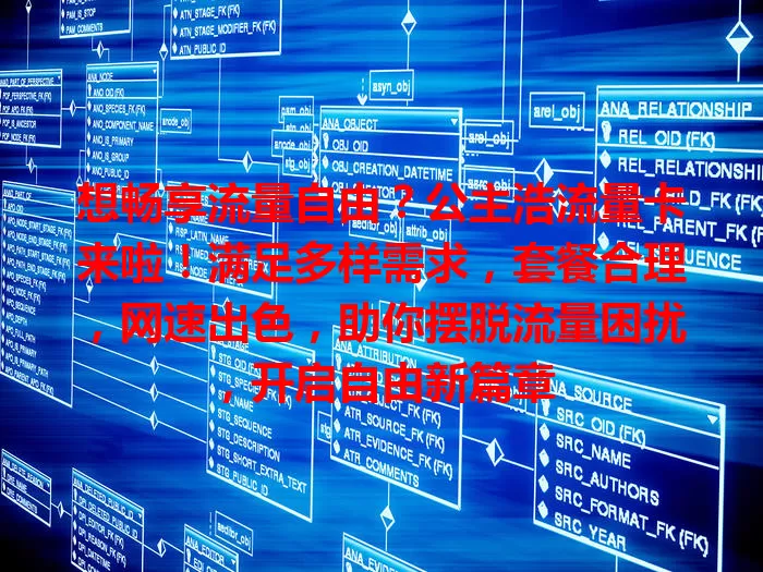 想畅享流量自由?公主浩流量卡来啦!满足多样需求,套餐合理,网速出色,助你摆脱流量困扰,开启自由新篇章