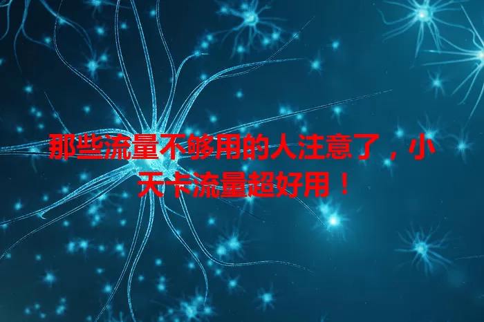 那些流量不够用的人注意了，小天卡流量超好用！