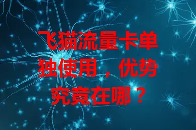 飞猫流量卡单独使用，优势究竟在哪？
