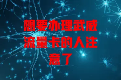 想要办理武威流量卡的人注意了