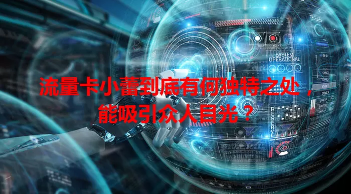 流量卡小蕾到底有何独特之处，能吸引众人目光？