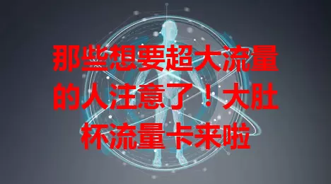那些想要超大流量的人注意了！大肚杯流量卡来啦