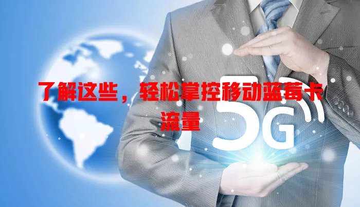了解这些，轻松掌控移动蓝莓卡流量