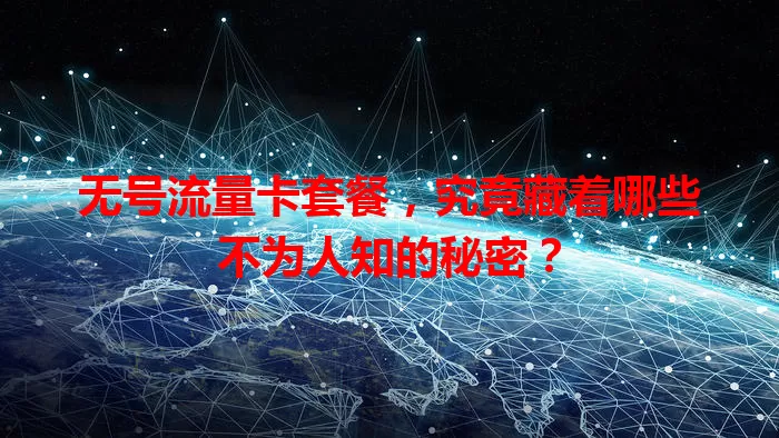 无号流量卡套餐，究竟藏着哪些不为人知的秘密？