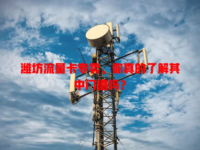 潍坊流量卡专卖，你真的了解其中门道吗？
