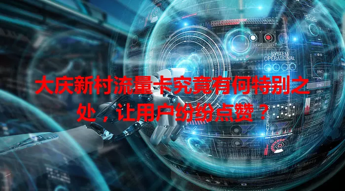 大庆新村流量卡究竟有何特别之处，让用户纷纷点赞？