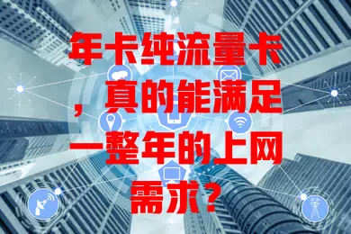 年卡纯流量卡，真的能满足一整年的上网需求？