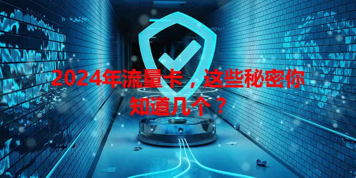 2024年流量卡，这些秘密你知道几个？