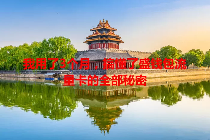 我用了3个月，搞懂了盛钱包流量卡的全部秘密