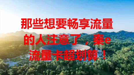 那些想要畅享流量的人注意了，秦e流量卡超划算！