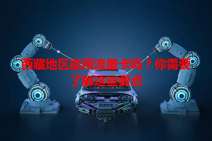 西藏地区能用流量卡吗？你需要了解这些要点