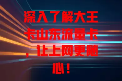 深入了解大王卡山东流量卡，让上网更随心！