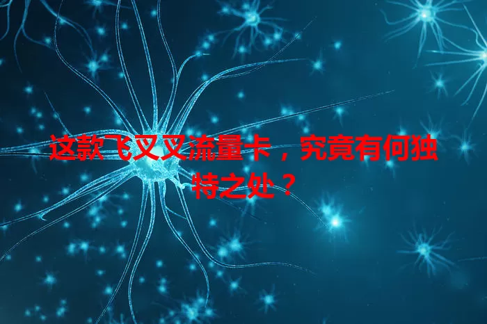 这款飞叉叉流量卡，究竟有何独特之处？