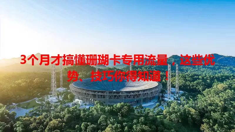3个月才搞懂珊瑚卡专用流量，这些优势、技巧你得知道！