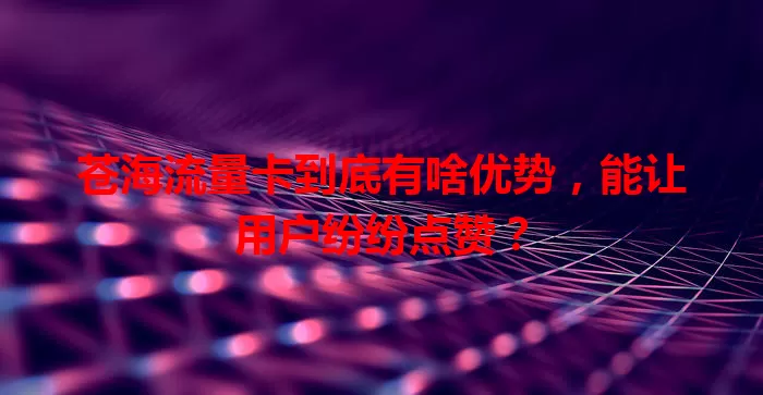 苍海流量卡到底有啥优势，能让用户纷纷点赞？