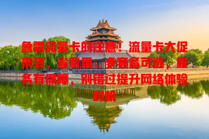 急需流量卡的注意！流量卡大促来袭，省费用、多套餐可选，服务有保障，别错过提升网络体验时机