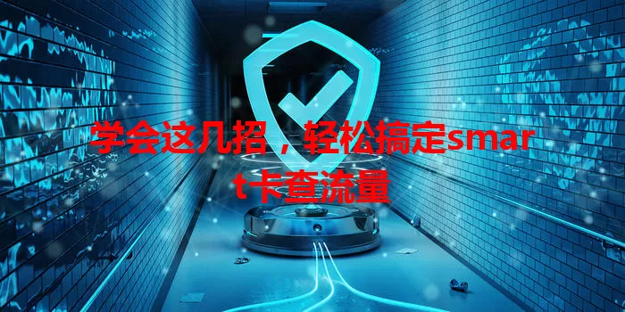 学会这几招，轻松搞定smart卡查流量