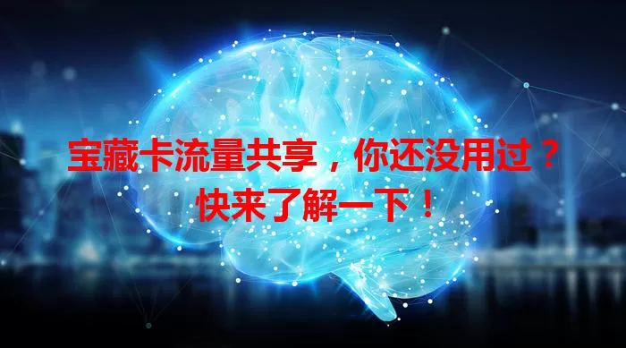 宝藏卡流量共享，你还没用过？快来了解一下！