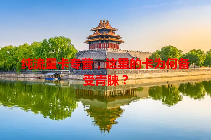 纯流量卡专营，这里的卡为何备受青睐？
