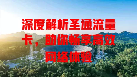 深度解析圣通流量卡，助你畅享高效网络体验