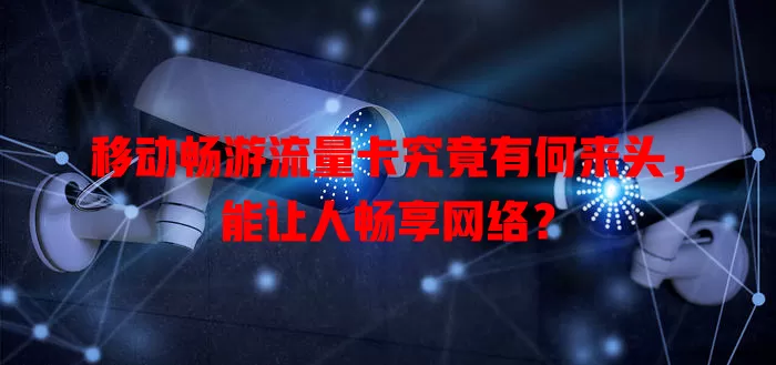 移动畅游流量卡究竟有何来头，能让人畅享网络？