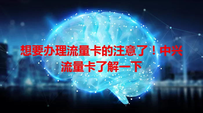 想要办理流量卡的注意了！中兴流量卡了解一下
