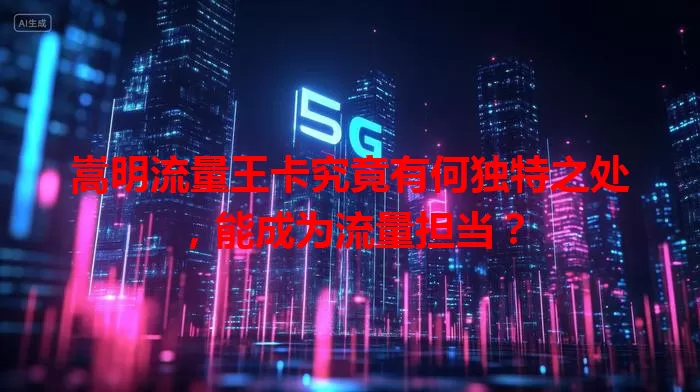 嵩明流量王卡究竟有何独特之处，能成为流量担当？