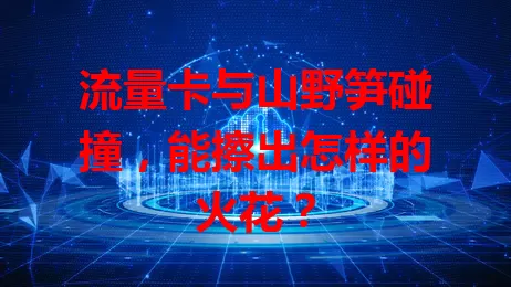 流量卡与山野笋碰撞，能擦出怎样的火花？