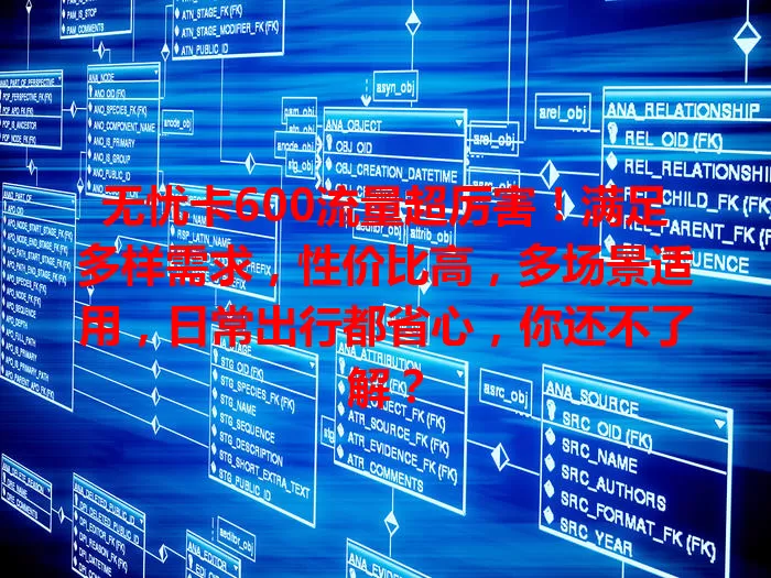 无忧卡600流量超厉害！满足多样需求，性价比高，多场景适用，日常出行都省心，你还不了解？