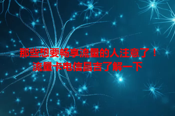 那些想要畅享流量的人注意了！流量卡电信昌吉了解一下