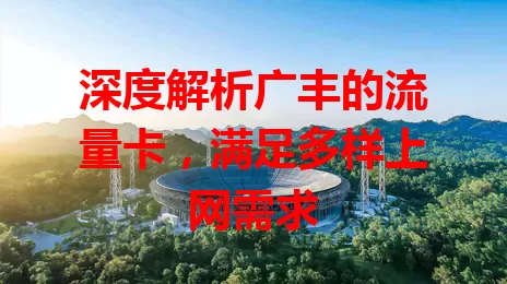 深度解析广丰的流量卡，满足多样上网需求