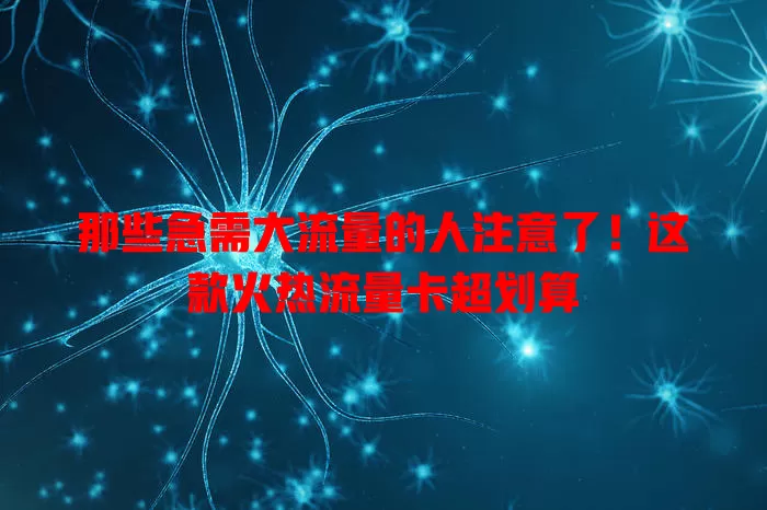 那些急需大流量的人注意了！这款火热流量卡超划算