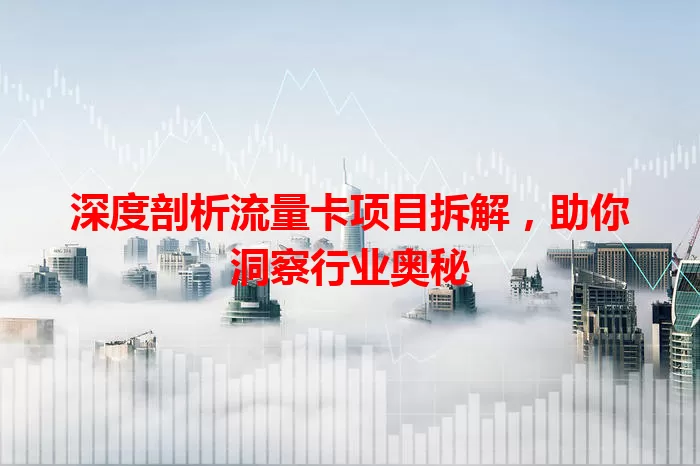 深度剖析流量卡项目拆解，助你洞察行业奥秘