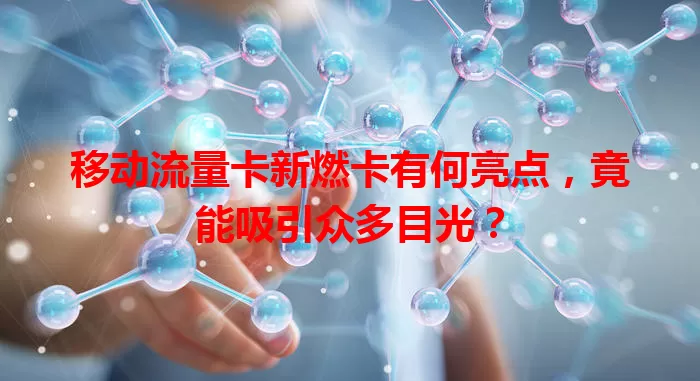 移动流量卡新燃卡有何亮点，竟能吸引众多目光？