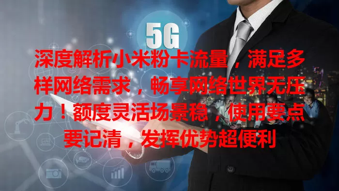 深度解析小米粉卡流量，满足多样网络需求，畅享网络世界无压力！额度灵活场景稳，使用要点要记清，发挥优势超便利