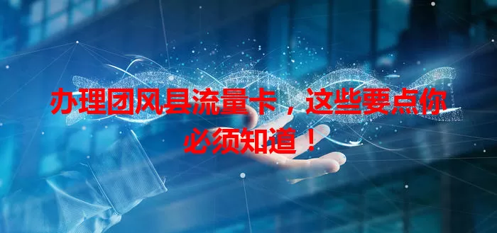 办理团风县流量卡,这些要点你必须知道!