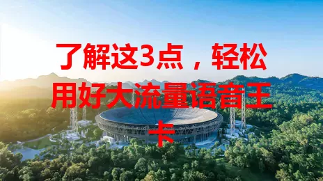 了解这3点，轻松用好大流量语音王卡