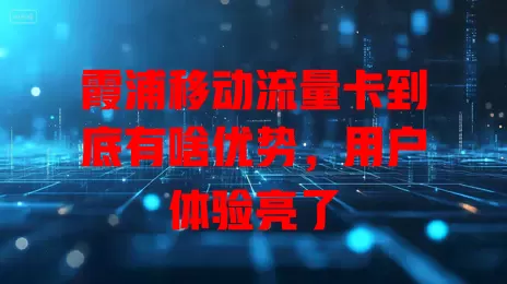 霞浦移动流量卡到底有啥优势，用户体验亮了