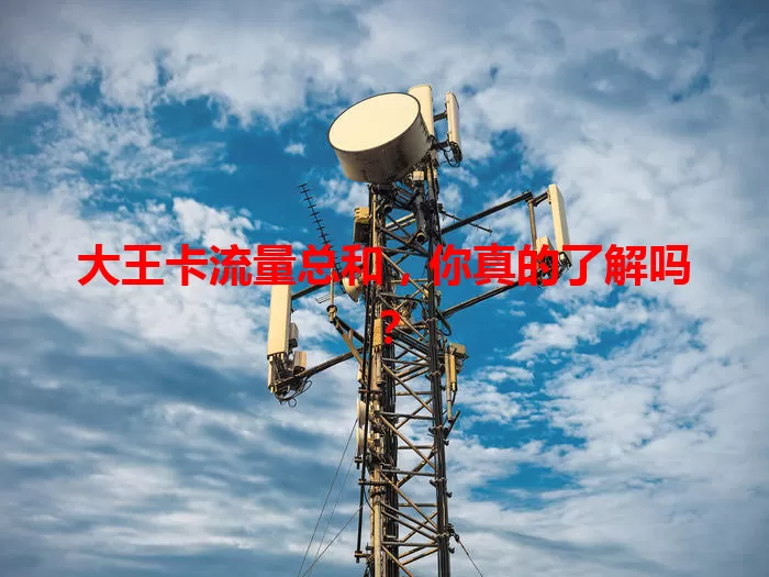 大王卡流量总和，你真的了解吗？